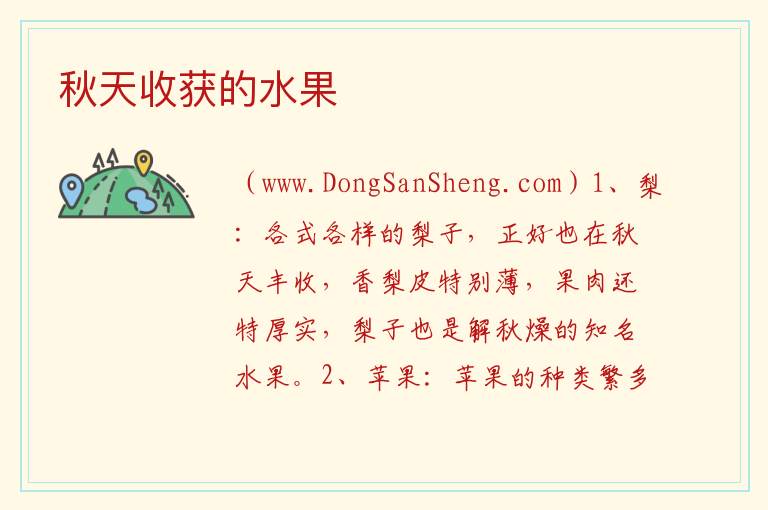 秋天收获的水果 