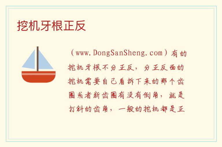 挖机牙根正反 