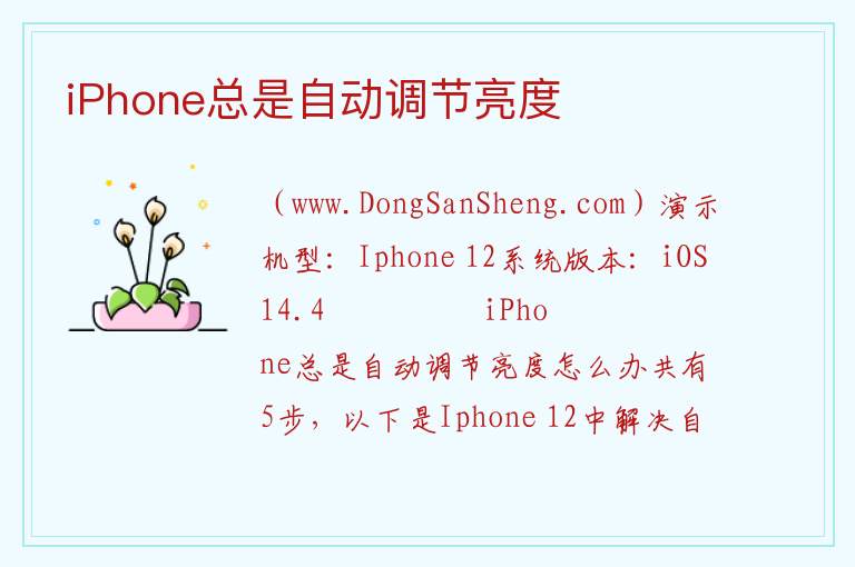 iPhone总是自动调节亮度 