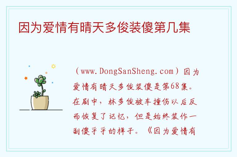 因为爱情有晴天多俊装傻第几集 