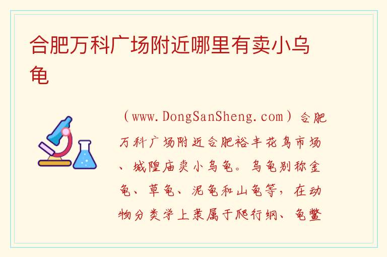 合肥万科广场附近哪里有卖小乌龟 