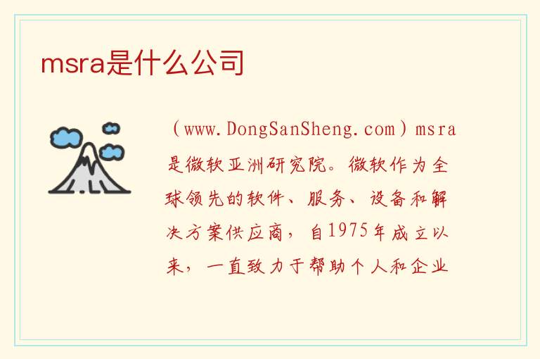 msra是什么公司 