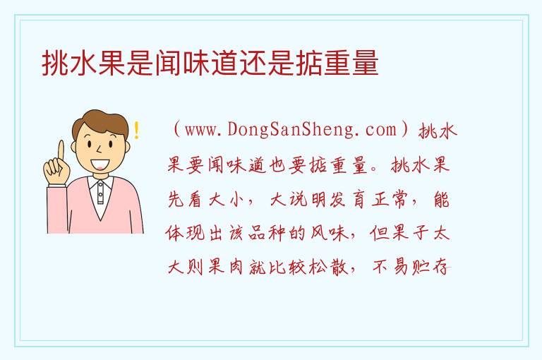 怎样挑水果蚂蚁庄园，怎样挑水果蚂蚁庄园
