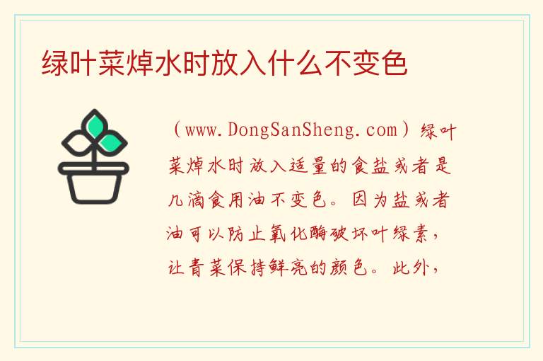 绿叶菜焯水时放入什么不变色 