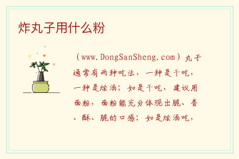 炸丸子用什么粉 炸萝卜丸子用什么粉