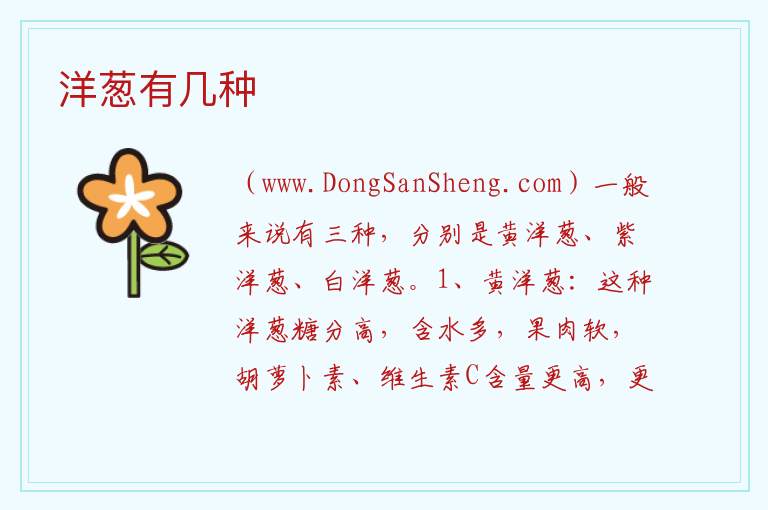 洋葱有几种 