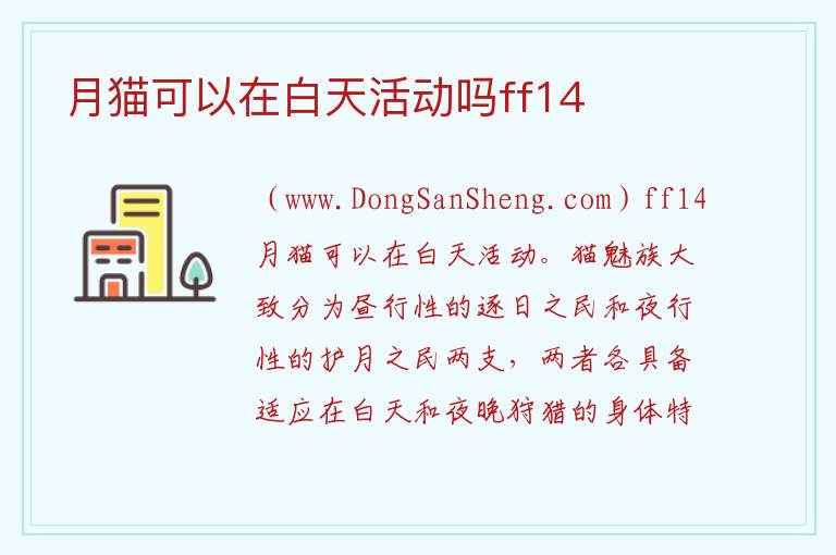 月猫可以在白天活动吗ff14 