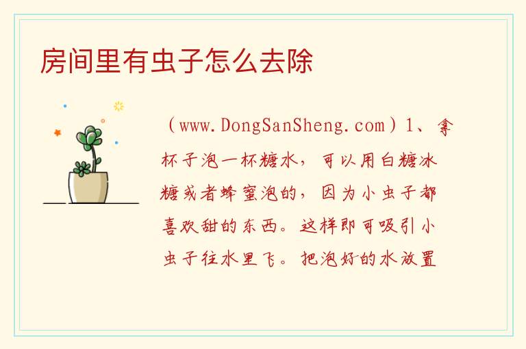 房间里有虫子怎么去除 
