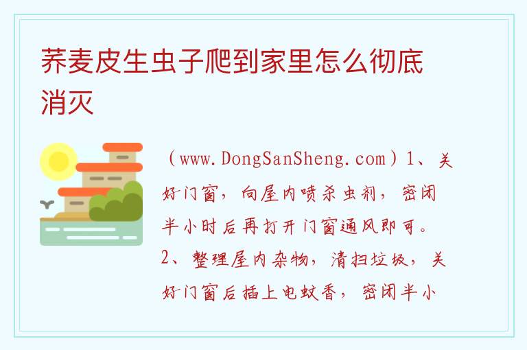 荞麦皮生虫子爬到家里怎么彻底消灭 