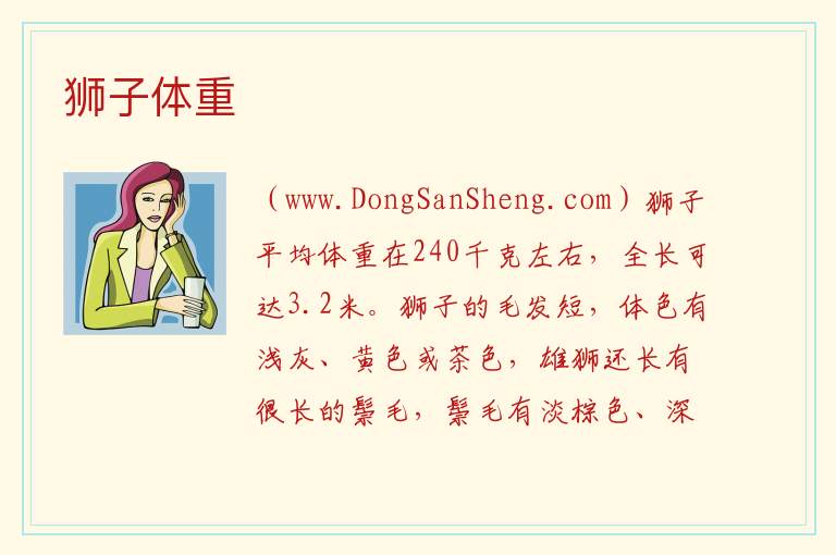 狮子体重 