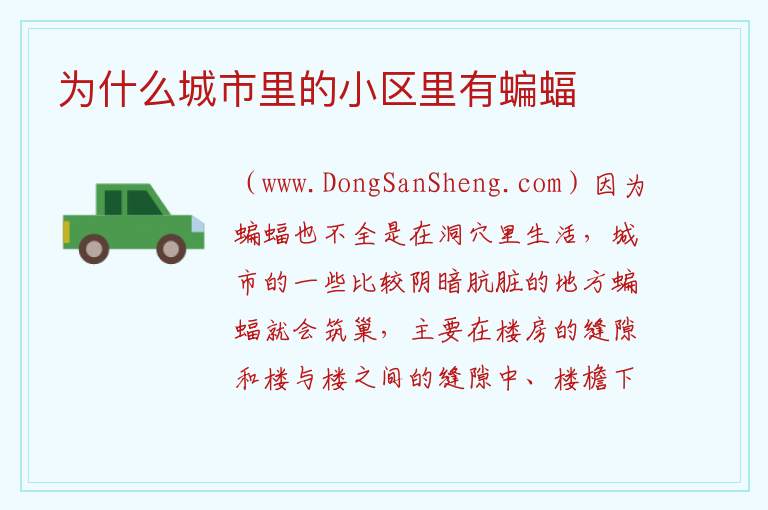 为什么城市里的小区里有蝙蝠 
