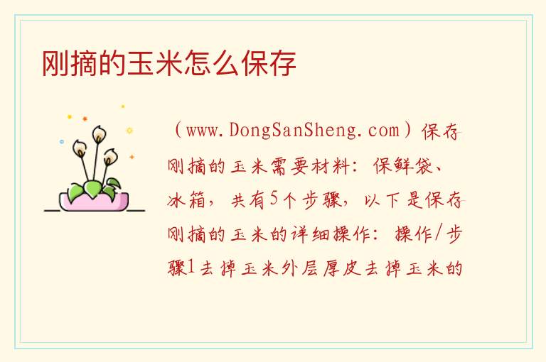刚摘的玉米怎么保存 