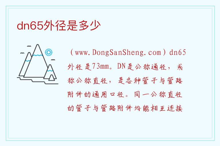 dn65外径是多少 