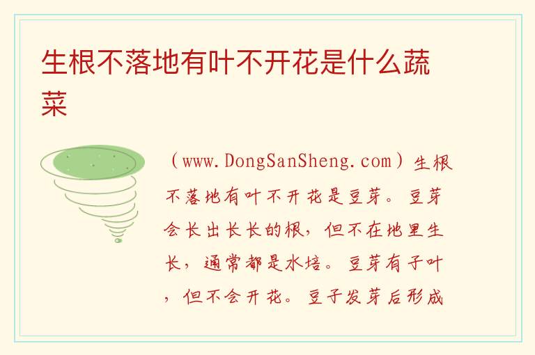 生根不落地有叶不开花是什么蔬菜 