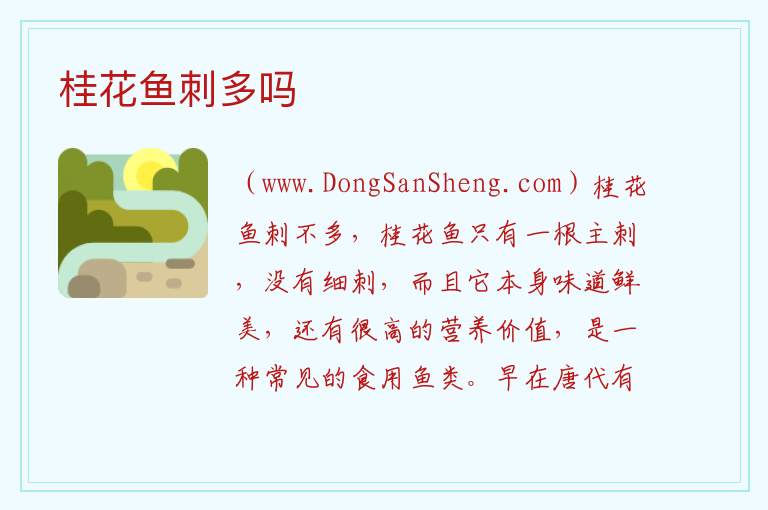 桂花鱼刺多吗 