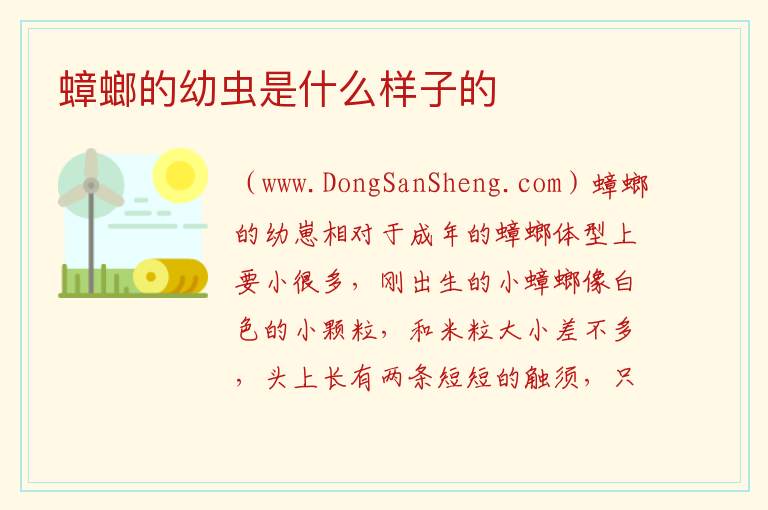 蟑螂的幼虫是什么样子的 
