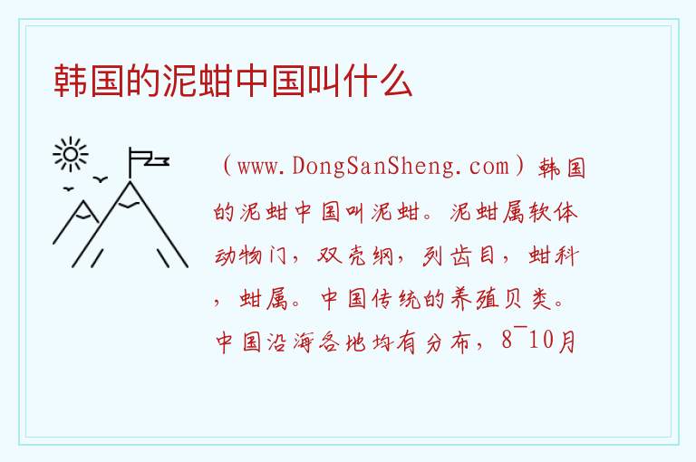 韩国的泥蚶中国叫什么 