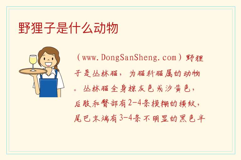 野狸到底是什么动物，野狸到底是什么动物