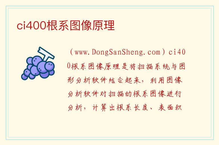 ci400根系图像原理 