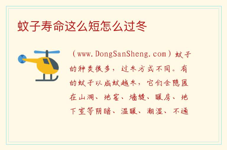 蚊子寿命这么短怎么过冬 蚊子怎么过冬的