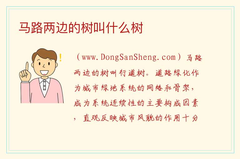 马路两边的树叫什么树 