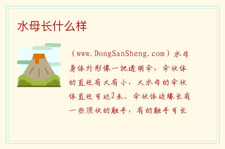 水母长什么样 