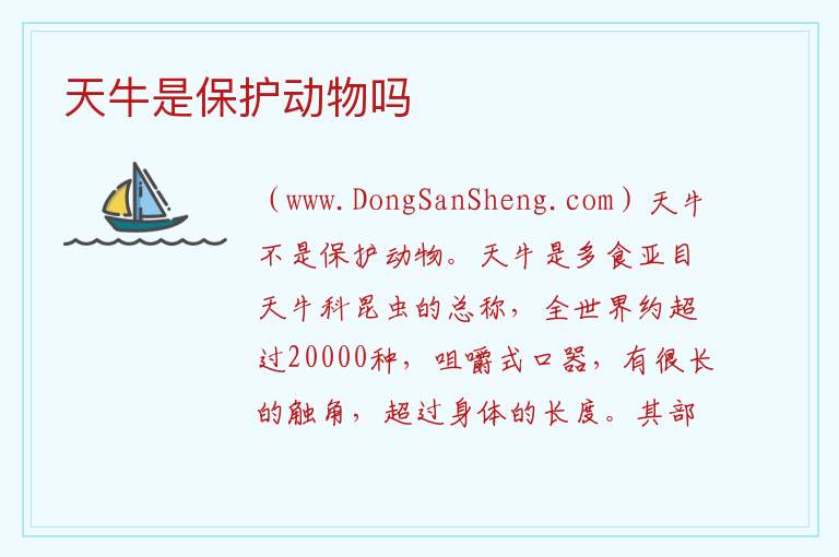 天牛是保护动物吗 