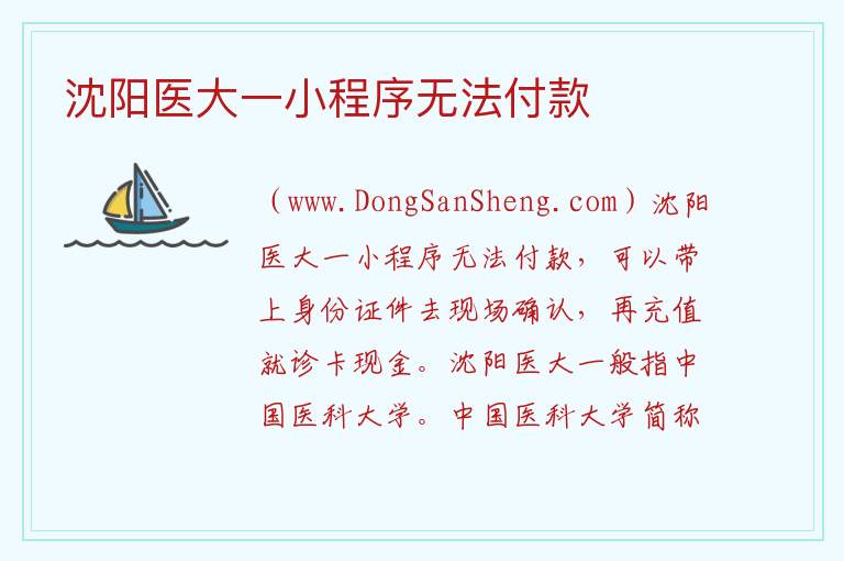 沈阳医大一小程序无法付款 