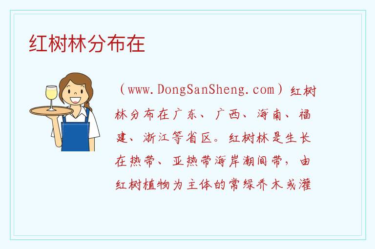 红树林分布在 