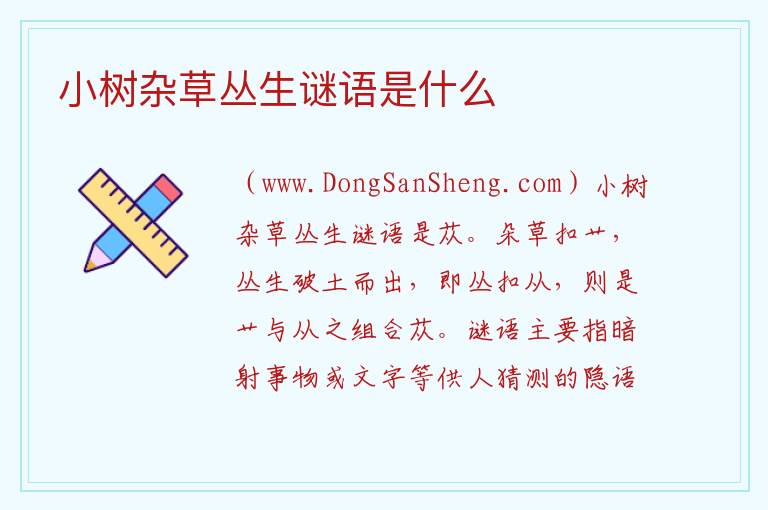 小树杂草丛生谜语是什么 