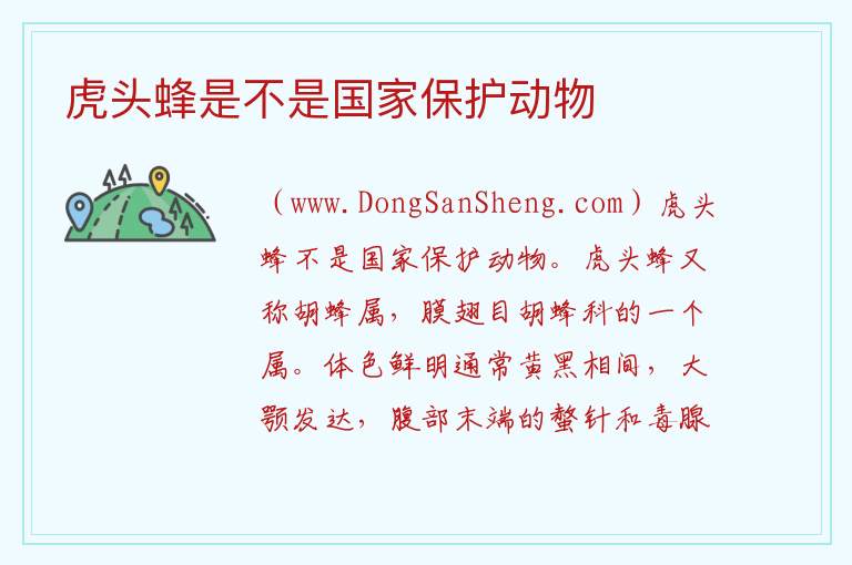 虎头蜂是不是国家保护动物 
