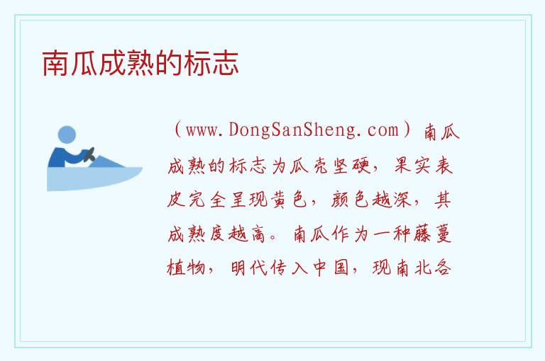 南瓜成熟的标志 