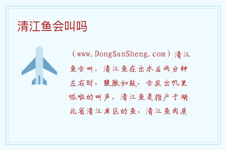 清江鱼会叫吗 