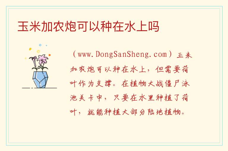 玉米加农炮可以种在水上吗 