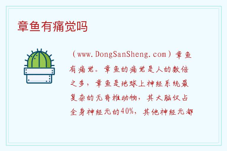 章鱼有痛觉吗 