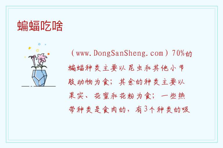 蝙蝠吃啥 
