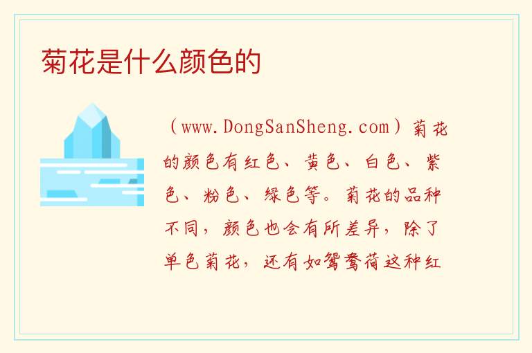 菊花是什么颜色的 