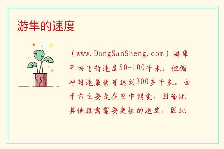 游隼的速度 