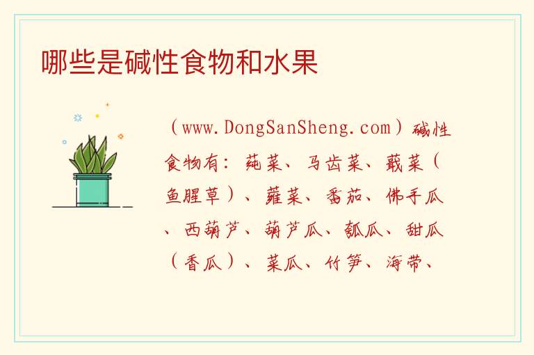 哪些是碱性食物和水果 