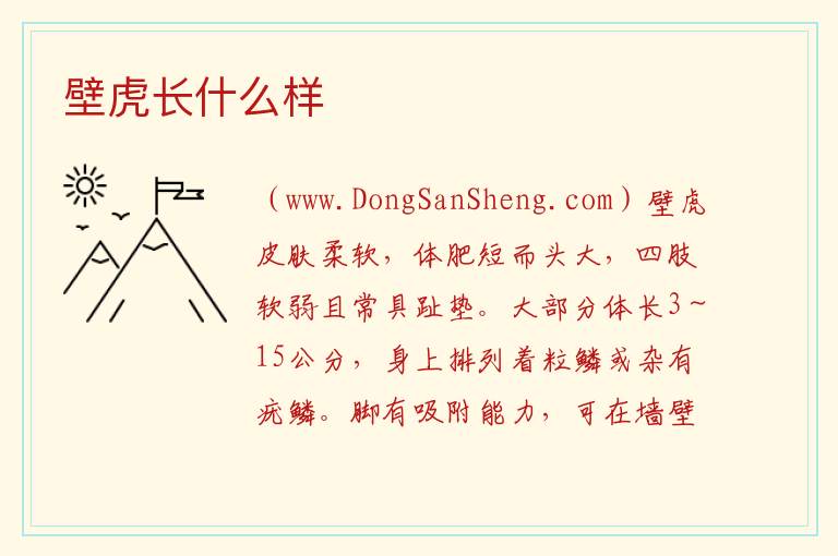 壁虎长什么样 