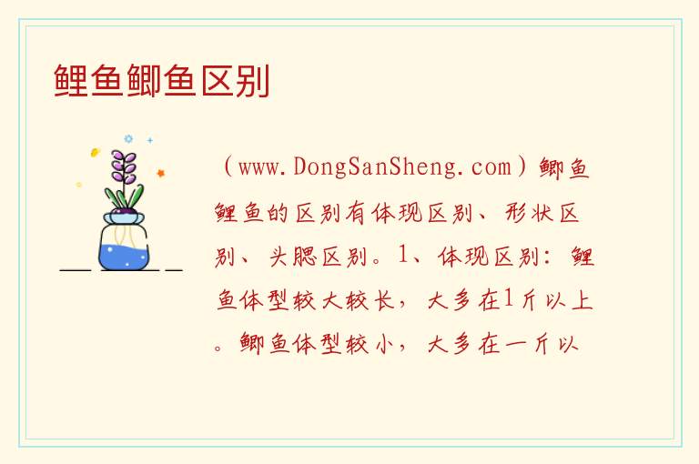 鲤鱼鲫鱼区别 