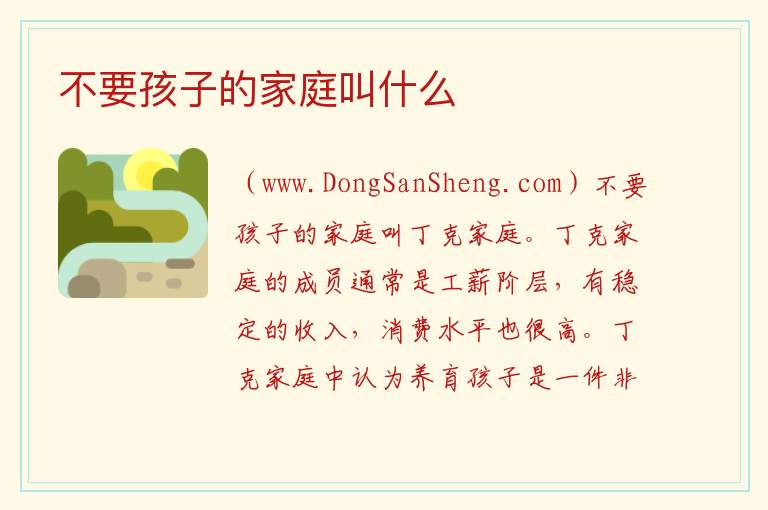 不要孩子的家庭叫什么 