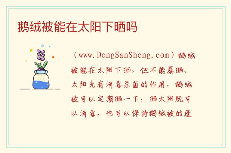 鹅绒被能在太阳下晒吗 