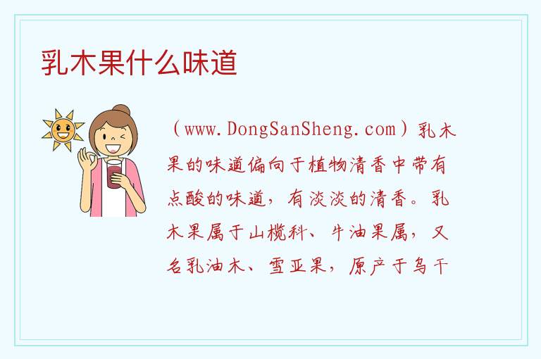 乳木果什么味道 