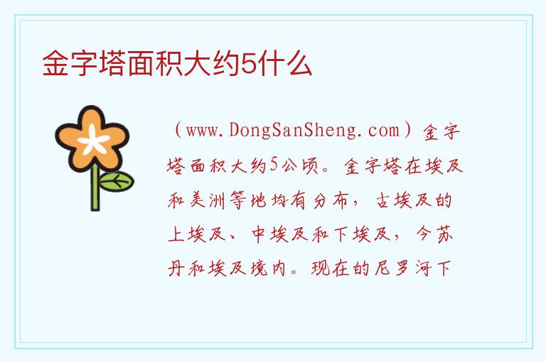 金字塔面积大约5什么 