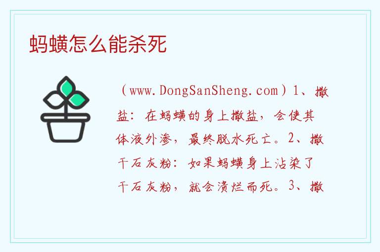蚂蟥怎么能杀死 