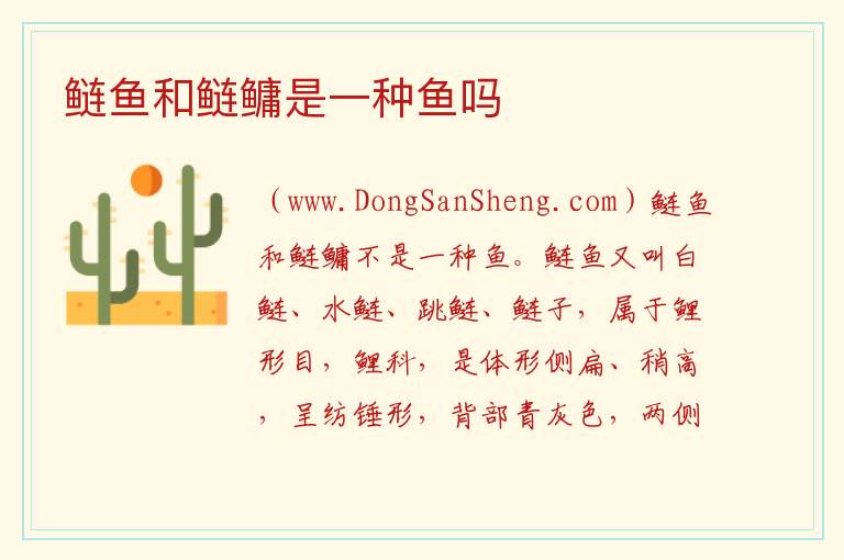 鲢鱼和鲢鳙是一种鱼吗 
