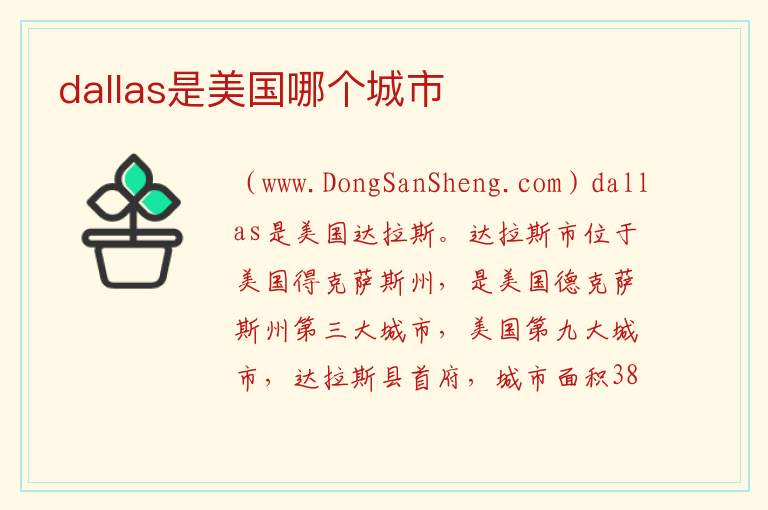 dallas是美国哪个城市 
