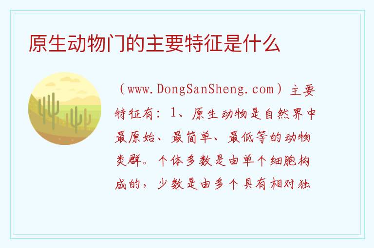 原生动物门的主要特征是什么 