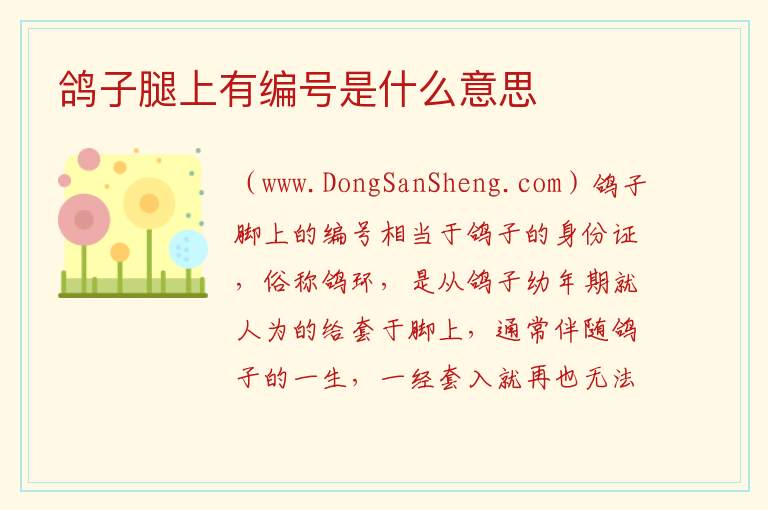 鸽子腿上有编号是什么意思 